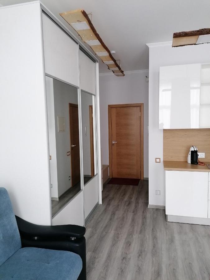 Palm Apartment Studio ריגה מראה חיצוני תמונה